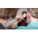 Adaptateur Smartphone X Change pour Otoscope Beta X